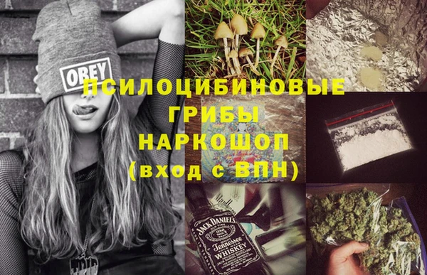 гашик Абаза