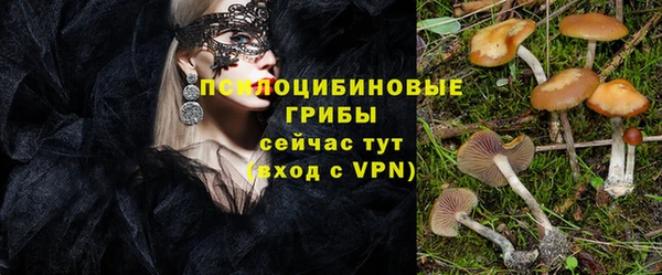 дурь Абдулино