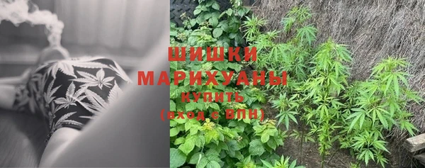 гашик Абаза