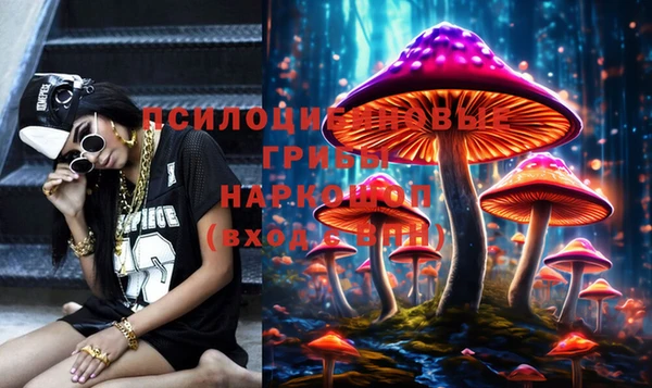 гашик Новодвинск