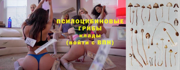 гашик Абаза