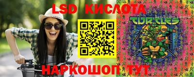 крисы Пугачёв