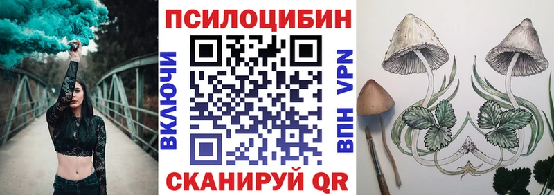 Галлюциногенные грибы прущие грибы  нарко площадка состав  Чита 