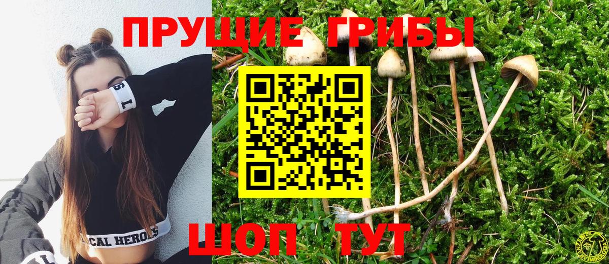 Псилоцибиновые грибы мухоморы Чита